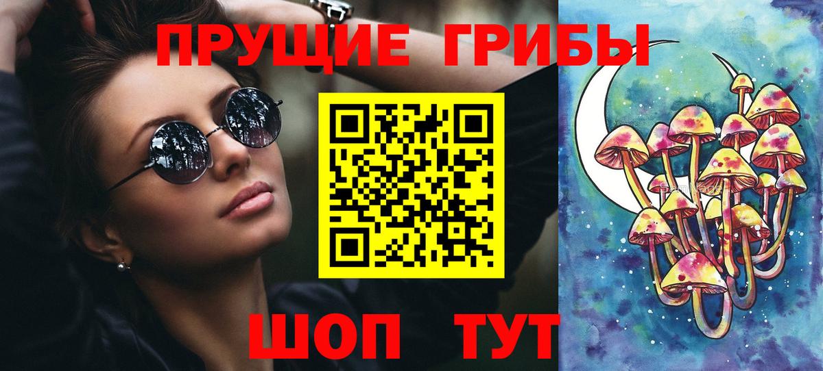 Владимир  Галлюциногенные грибы Magic Shrooms  Псилоцибиновые грибы Cubensis  Вход с VPN 